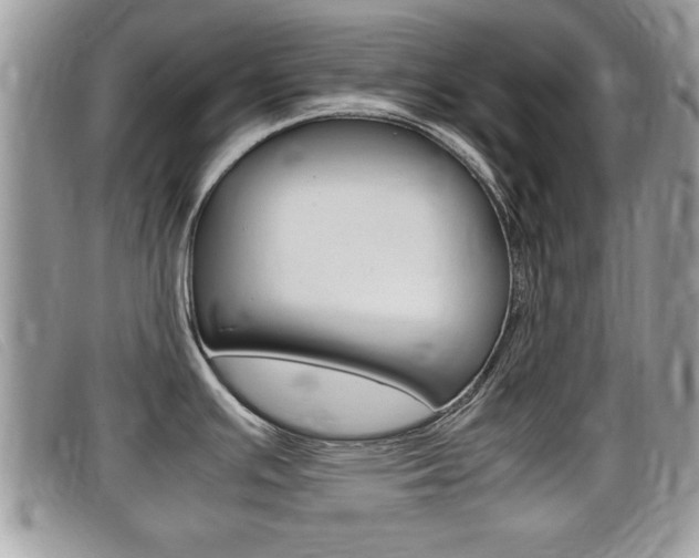 X0000099431391200805090717