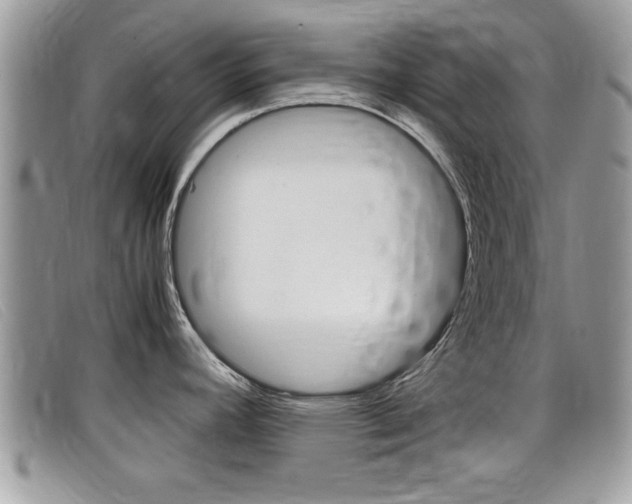 X0000099431392200805090717