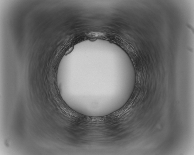 X0000099431393200805090717