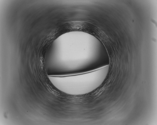 X0000099431394200805090717