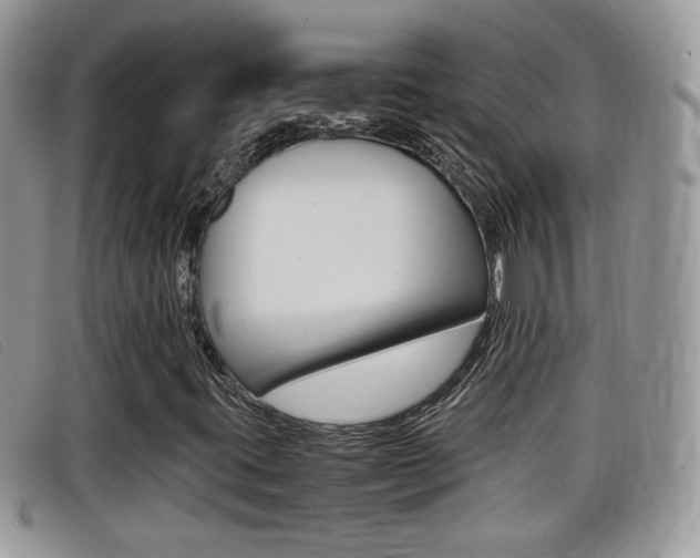 X0000099431395200805090717