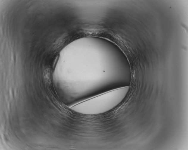 X0000099431396200805090717