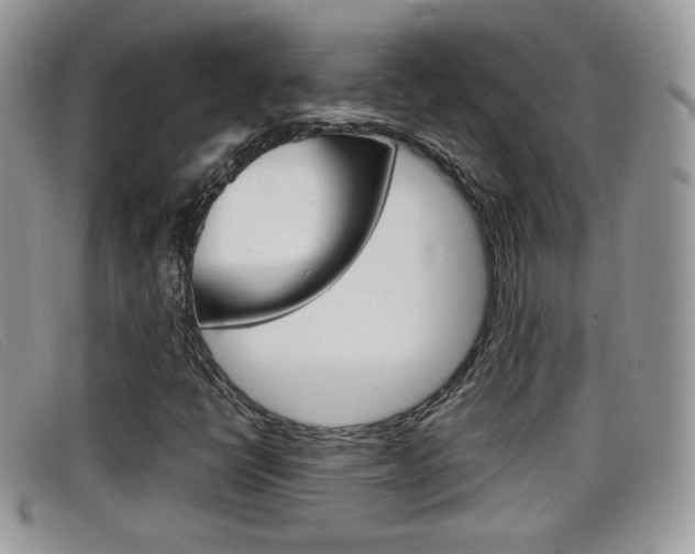X0000099431398200805090717