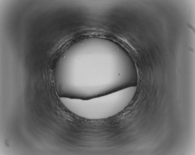 X0000099431399200805090717