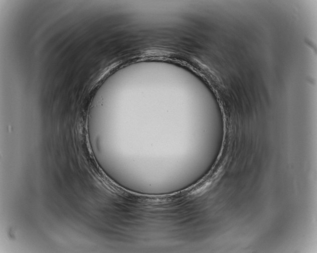 X0000099431401200805090717