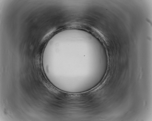 X0000099431403200805090717
