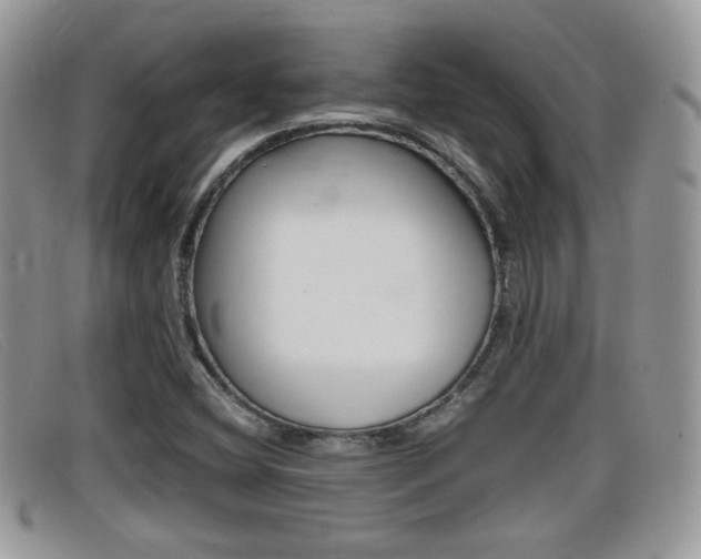 X0000099431404200805090717