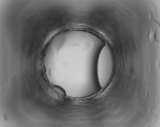 X0000099431405200805090717