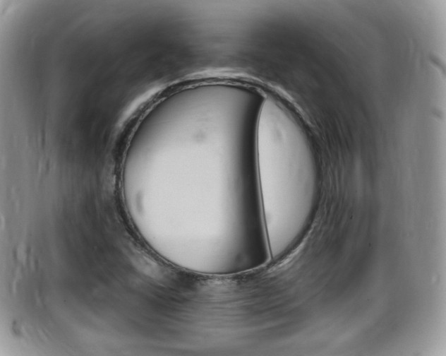 X0000099431406200805090717