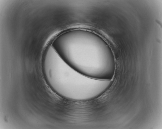 X0000099431408200805090717