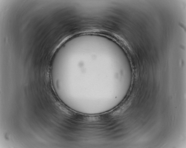 X0000099431409200805090717