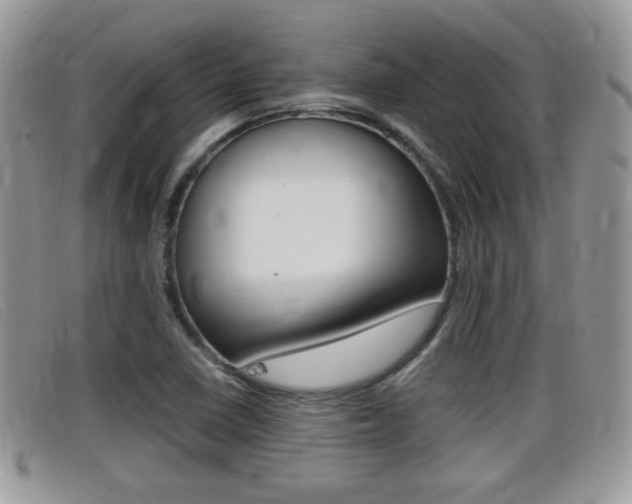 X0000099431410200805090717