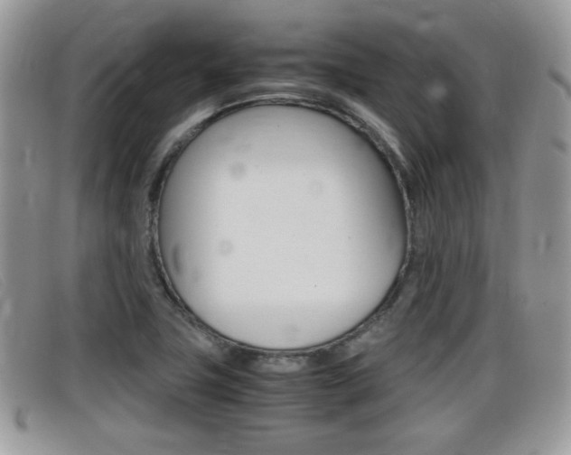 X0000099431411200805090717