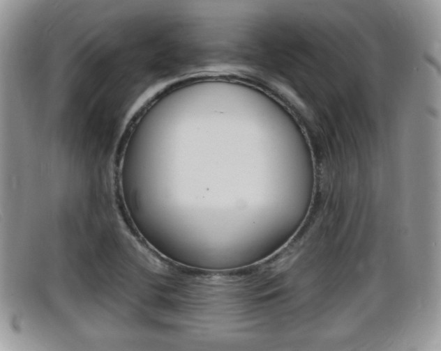 X0000099431412200805090717