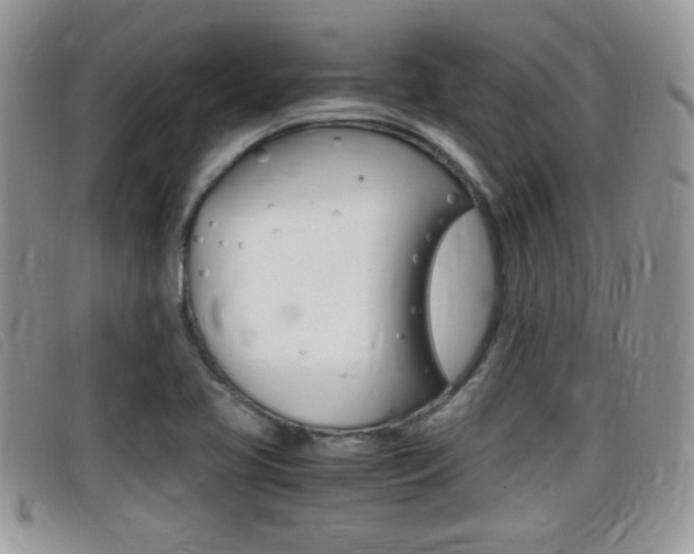X0000099431413200805090717