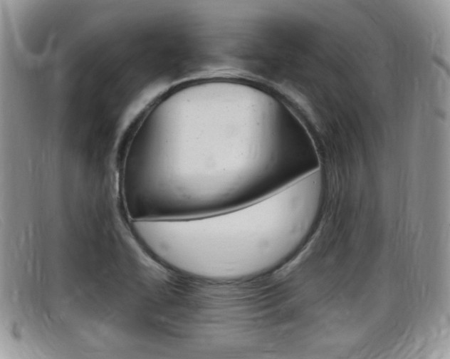 X0000099431414200805090717