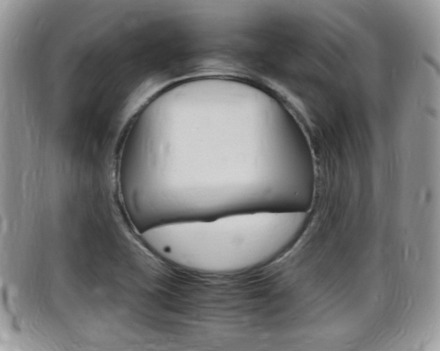 X0000099431415200805090717