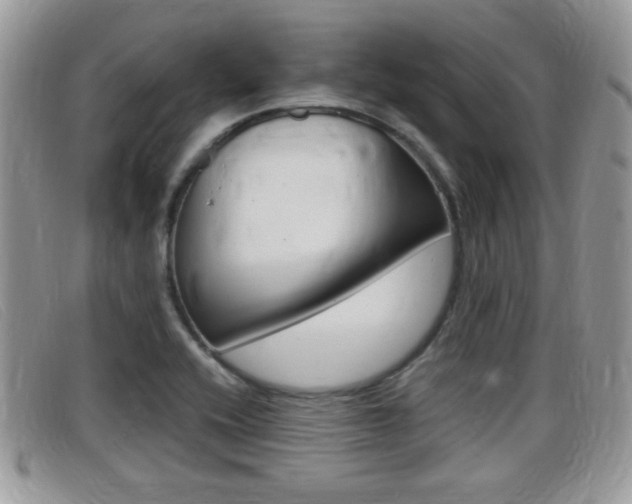 X0000099431416200805090717