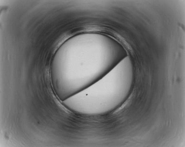 X0000099431417200805090717