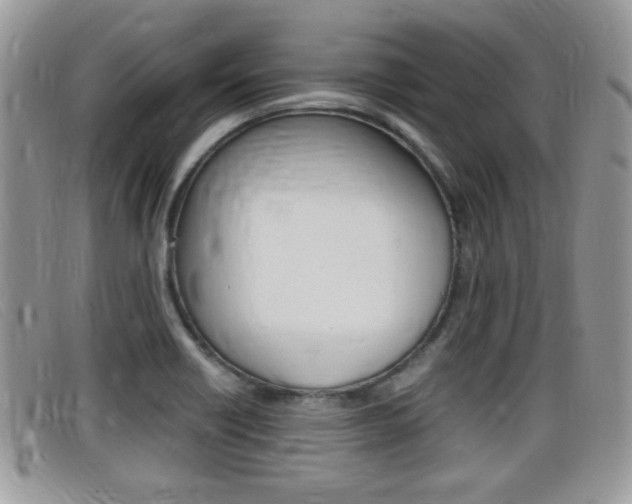 X0000099431418200805090717
