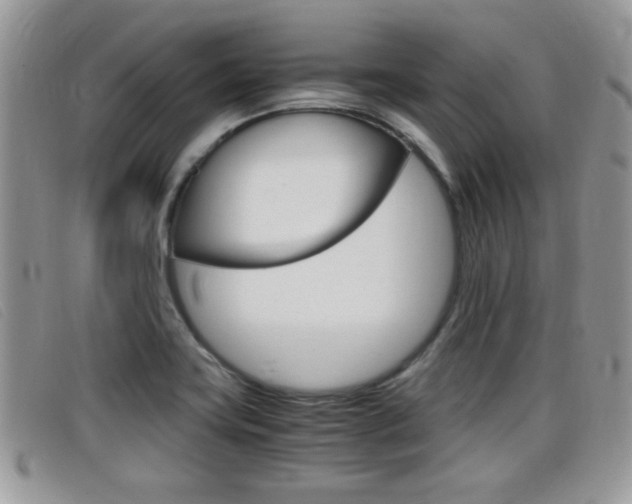 X0000099431419200805090717