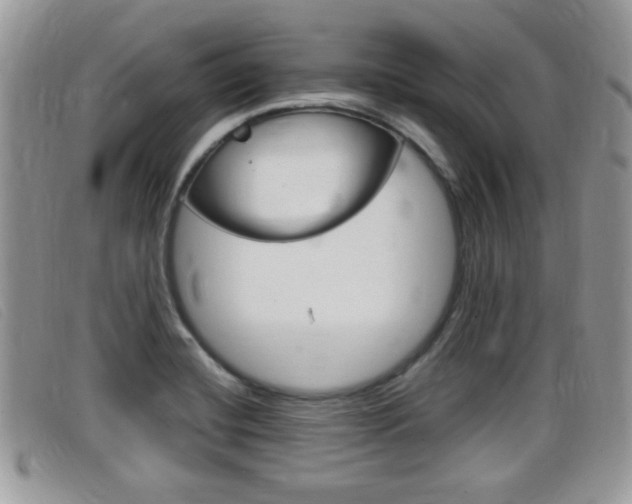 X0000099431420200805090717