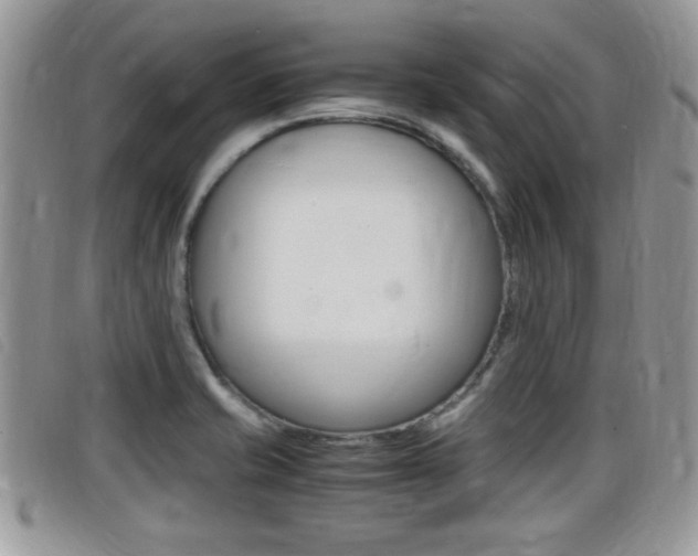 X0000099431421200805090717