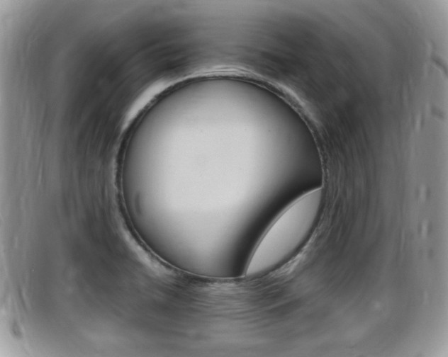X0000099431422200805090717