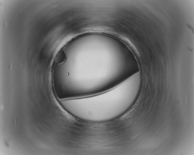 X0000099431424200805090717