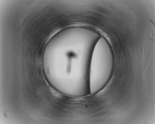 X0000099431425200805090717