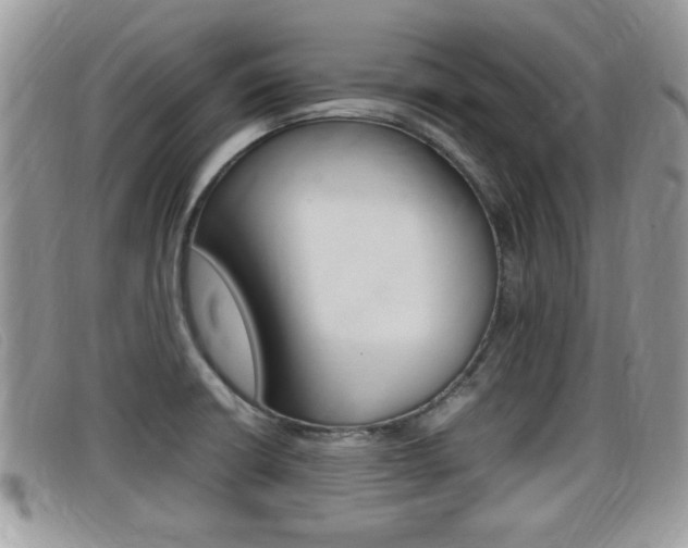 X0000099431426200805090717