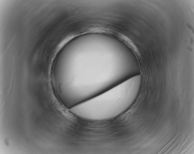 X0000099431427200805090717