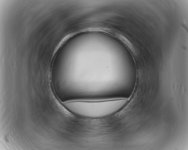 X0000099431428200805090717