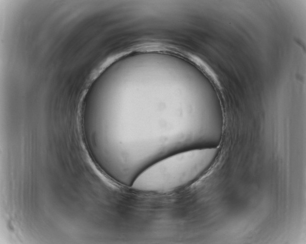 X0000099431429200805090717