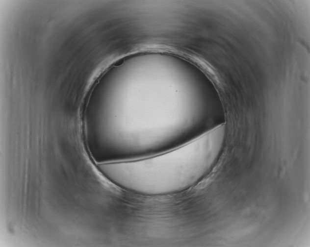 X0000099431430200805090717