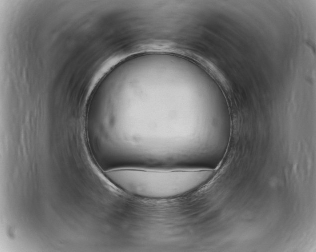 X0000099431432200805090717