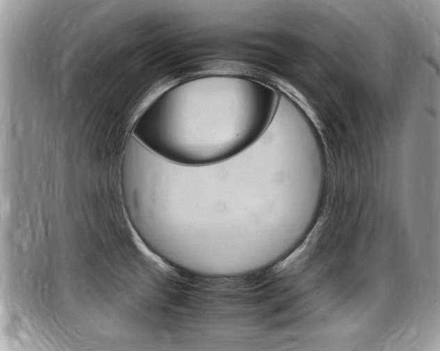 X0000099431433200805090717