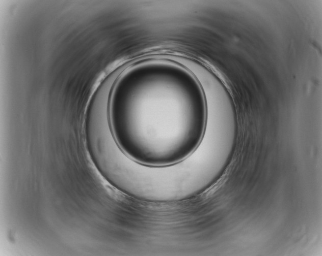 X0000099431434200805090717