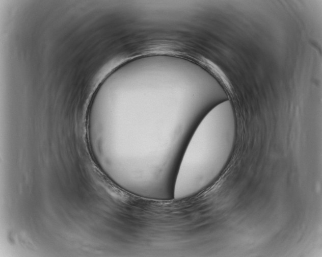 X0000099431435200805090717