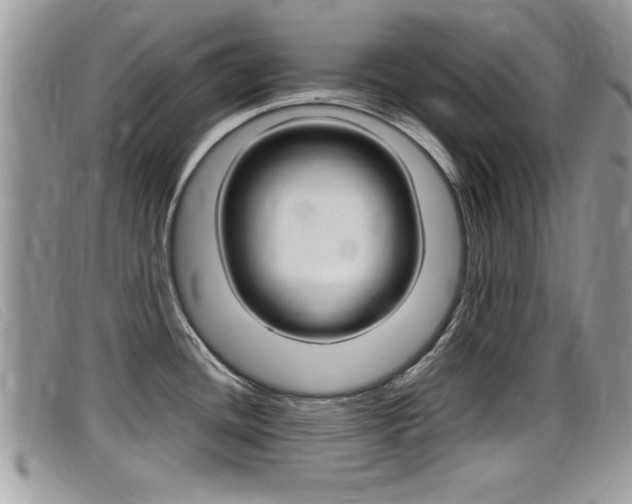 X0000099431436200805090717