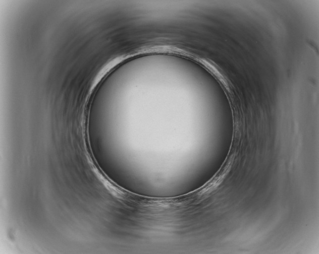 X0000099431438200805090717