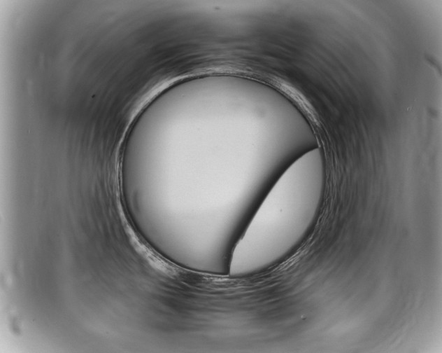 X0000099431439200805090717