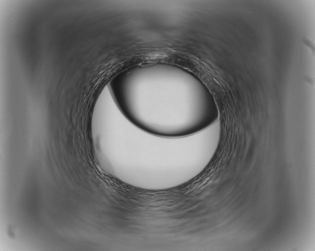 X0000099431441200805090717