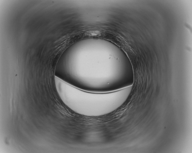 X0000099431442200805090717
