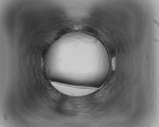 X0000099431443200805090717