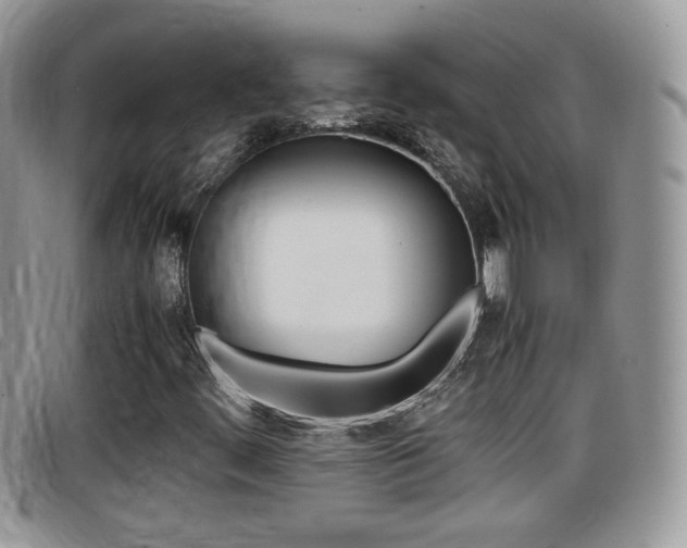X0000099431444200805090717