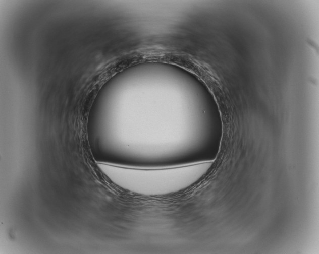 X0000099431445200805090717