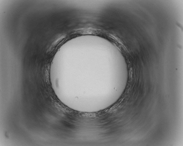 X0000099431446200805090717