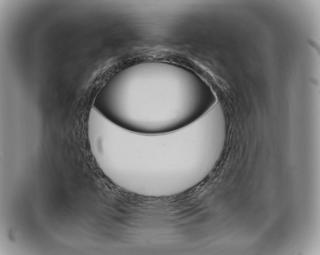 X0000099431447200805090717