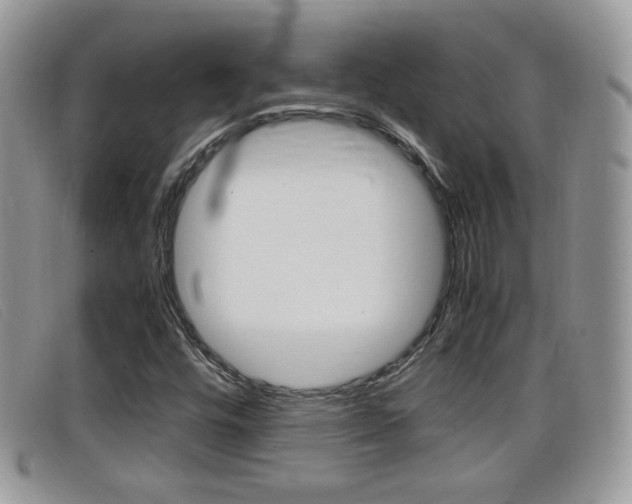 X0000099431448200805090717